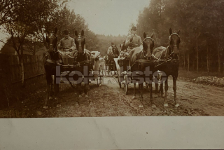 300 Kč GEN Pohlednice KOČÍ, GEN138021