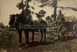 300 Kč GEN Pohlednice KOČÍ, GEN138023