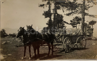300 Kč GEN Pohlednice KOČÍ, GEN138028