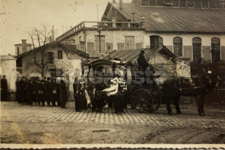 300 Kč GEN Pohlednice KOČÍ, GEN138029