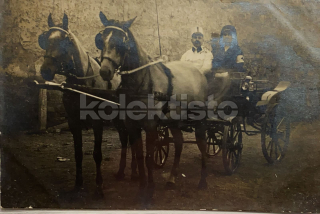 350 Kč GEN Pohlednice KOČÍ, GEN138035