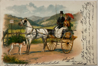 350 Kč GEN Pohlednice KOČÍ, GEN138044