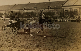 400 Kč GEN Pohlednice KOČÍ, GEN138055