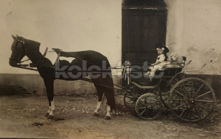 400 Kč GEN Pohlednice KOČÍ, GEN138060