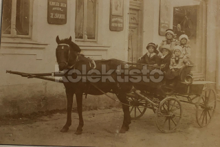 550 Kč GEN Pohlednice KOČÍ, GEN138068