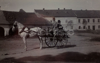 900 Kč GEN Pohlednice KOČÍ, GEN138078