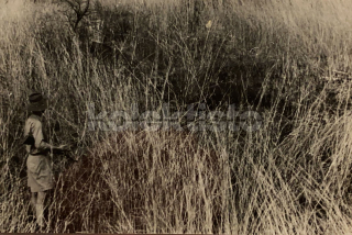 150 Kč GEN Pohlednice MYSLIVOST FOTO, GEN138087
