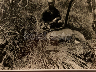 200 Kč GEN Pohlednice MYSLIVOST FOTO, GEN138093