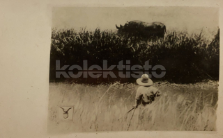 200 Kč GEN Pohlednice MYSLIVOST FOTO, GEN138094