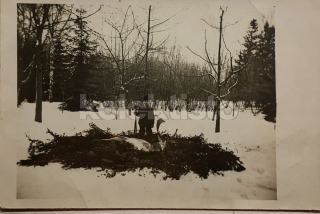 200 Kč GEN Pohlednice MYSLIVOST FOTO, GEN138098