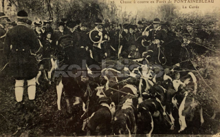 250 Kč GEN Pohlednice MYSLIVOST FOTO, GEN138107