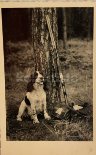 300 Kč GEN Pohlednice MYSLIVOST FOTO, GEN138117