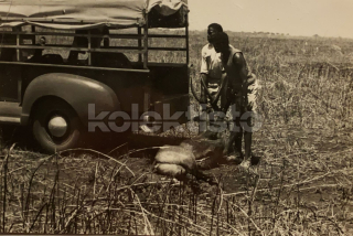 400 Kč GEN Pohlednice MYSLIVOST FOTO, GEN138152