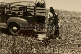 400 Kč GEN Pohlednice MYSLIVOST FOTO, GEN138153