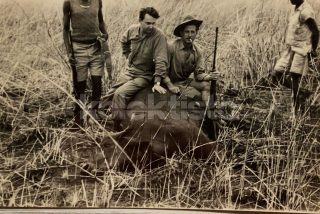 400 Kč GEN Pohlednice MYSLIVOST FOTO, GEN138155