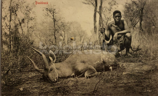 550 Kč GEN Pohlednice MYSLIVOST FOTO, GEN138171