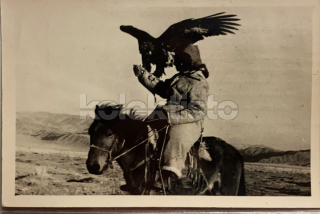 550 Kč GEN Pohlednice MYSLIVOST FOTO, GEN138172