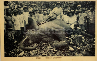 600 Kč GEN Pohlednice MYSLIVOST FOTO, GEN138176