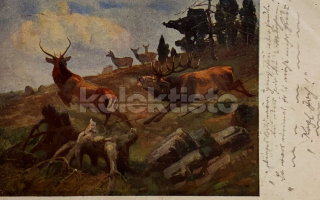 200 Kč GEN Pohlednice MYSLIVOST MALOVANÉ, GEN138206