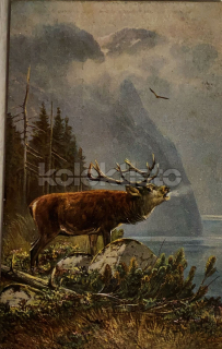 200 Kč GEN Pohlednice MYSLIVOST MALOVANÉ, GEN138207