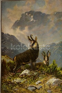 200 Kč GEN Pohlednice MYSLIVOST MALOVANÉ, GEN138213