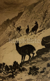 250 Kč GEN Pohlednice MYSLIVOST MALOVANÉ, GEN138218