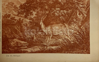 300 Kč GEN Pohlednice MYSLIVOST MALOVANÉ, GEN138240