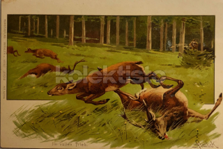 350 Kč GEN Pohlednice MYSLIVOST MALOVANÉ, GEN138253