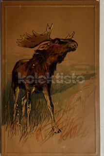 400 Kč GEN Pohlednice MYSLIVOST MALOVANÉ, GEN138265