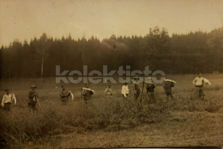 150 Kč GEN Pohlednice ZEMĚDĚLSTVÍ, GEN139068
