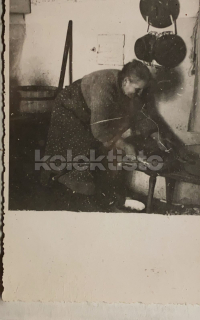150 Kč GEN Pohlednice ZEMĚDĚLSTVÍ, GEN139073