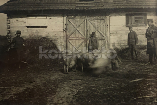 150 Kč GEN Pohlednice ZEMĚDĚLSTVÍ, GEN139074