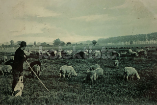 150 Kč GEN Pohlednice ZEMĚDĚLSTVÍ, GEN139076