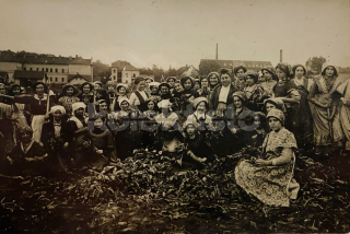 200 Kč GEN Pohlednice ZEMĚDĚLSTVÍ, GEN139086