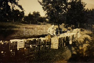 200 Kč GEN Pohlednice ZEMĚDĚLSTVÍ, GEN139089