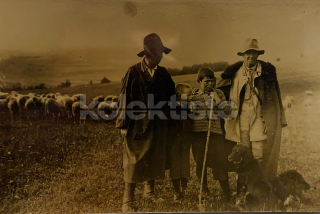 200 Kč GEN Pohlednice ZEMĚDĚLSTVÍ, GEN139094