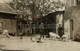 200 Kč GEN Pohlednice ZEMĚDĚLSTVÍ, GEN139095