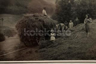 250 Kč GEN Pohlednice ZEMĚDĚLSTVÍ, GEN139097
