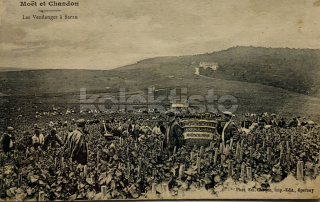 250 Kč GEN Pohlednice ZEMĚDĚLSTVÍ, GEN139107