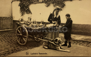 300 Kč GEN Pohlednice ZEMĚDĚLSTVÍ, GEN139115