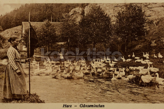 300 Kč GEN Pohlednice ZEMĚDĚLSTVÍ, GEN139125