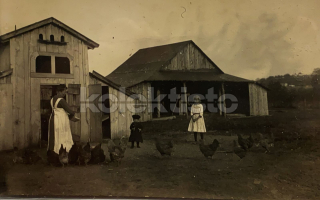 300 Kč GEN Pohlednice ZEMĚDĚLSTVÍ, GEN139130
