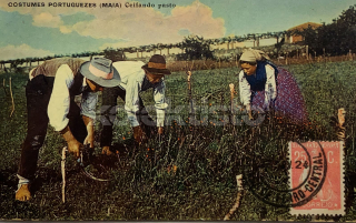300 Kč GEN Pohlednice ZEMĚDĚLSTVÍ, GEN139131