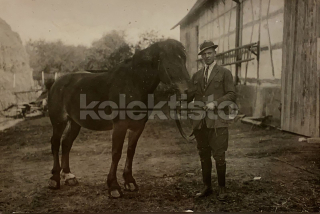 350 Kč GEN Pohlednice ZEMĚDĚLSTVÍ, GEN139138