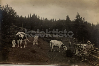 350 Kč GEN Pohlednice ZEMĚDĚLSTVÍ, GEN139141