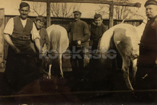 350 Kč GEN Pohlednice ZEMĚDĚLSTVÍ, GEN139143