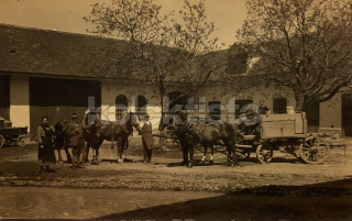 350 Kč GEN Pohlednice ZEMĚDĚLSTVÍ, GEN139146