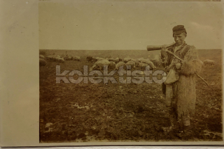 350 Kč GEN Pohlednice ZEMĚDĚLSTVÍ, GEN139155