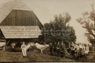 350 Kč GEN Pohlednice ZEMĚDĚLSTVÍ, GEN139162