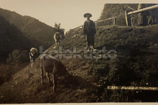 400 Kč GEN Pohlednice ZEMĚDĚLSTVÍ, GEN139165
